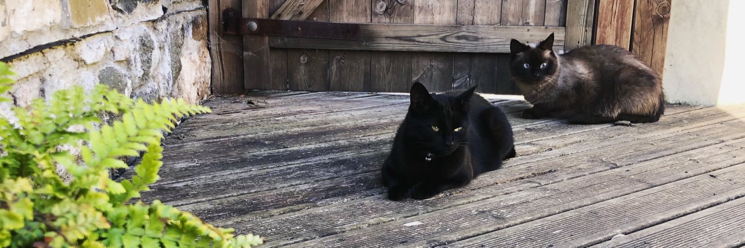 Jennifer Long #FE banner