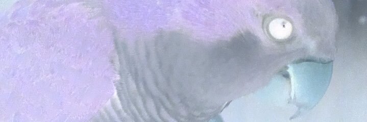 Quaker_Parront's profile banner image