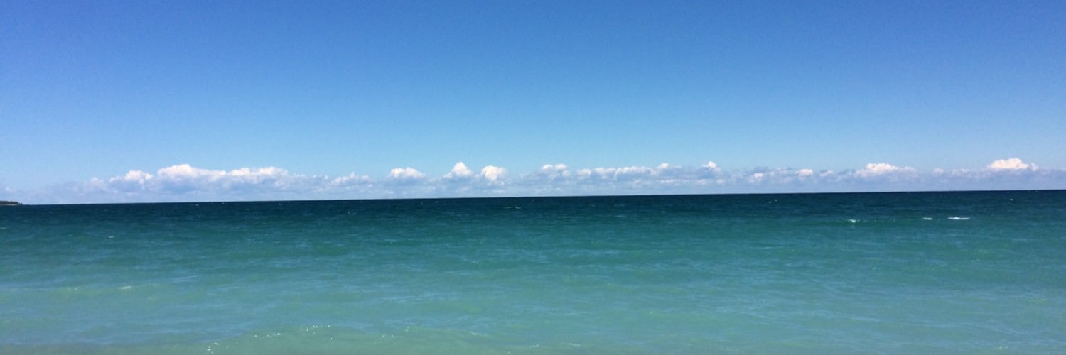 Lynette Gallagher banner