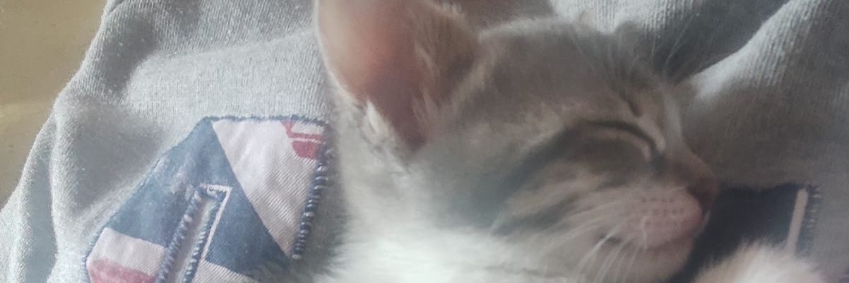 Pablo161021's profile banner image