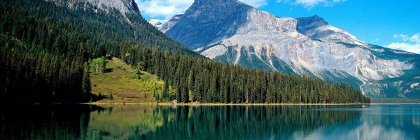 cbcgeek Profile Banner