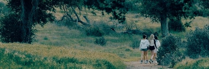 ❦ banner