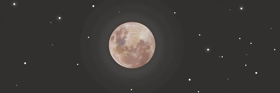 delleChan101's profile banner image