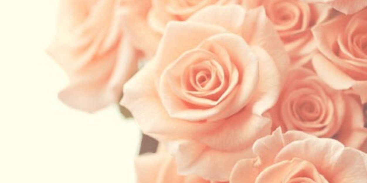 SharonPriscilla's profile banner image