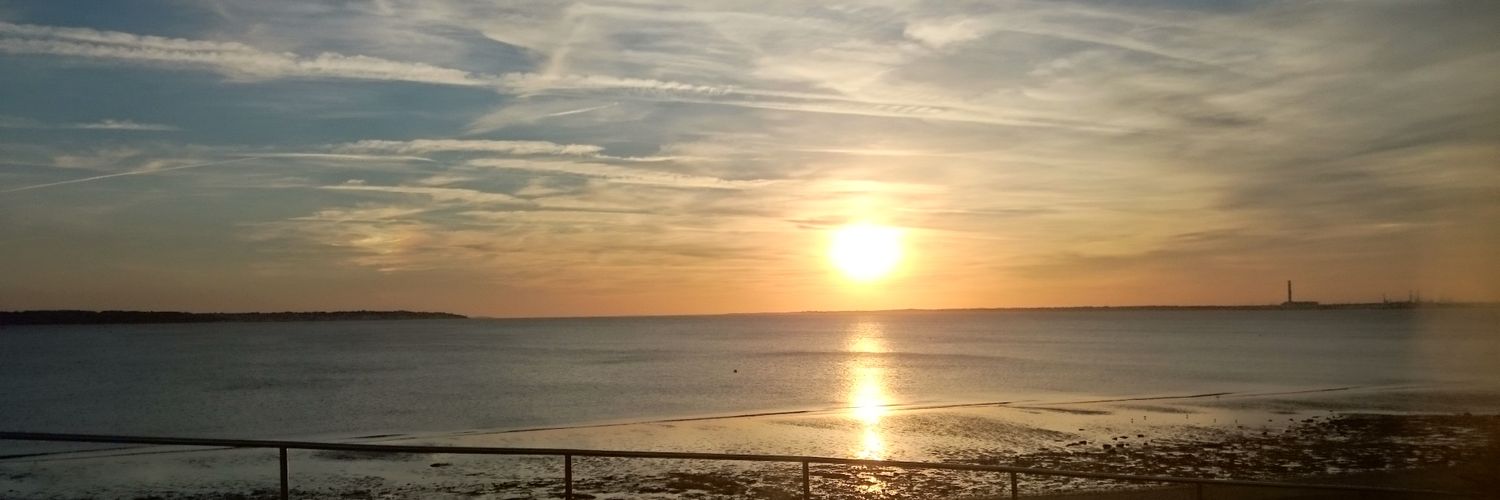 JudithMcardle's profile banner image