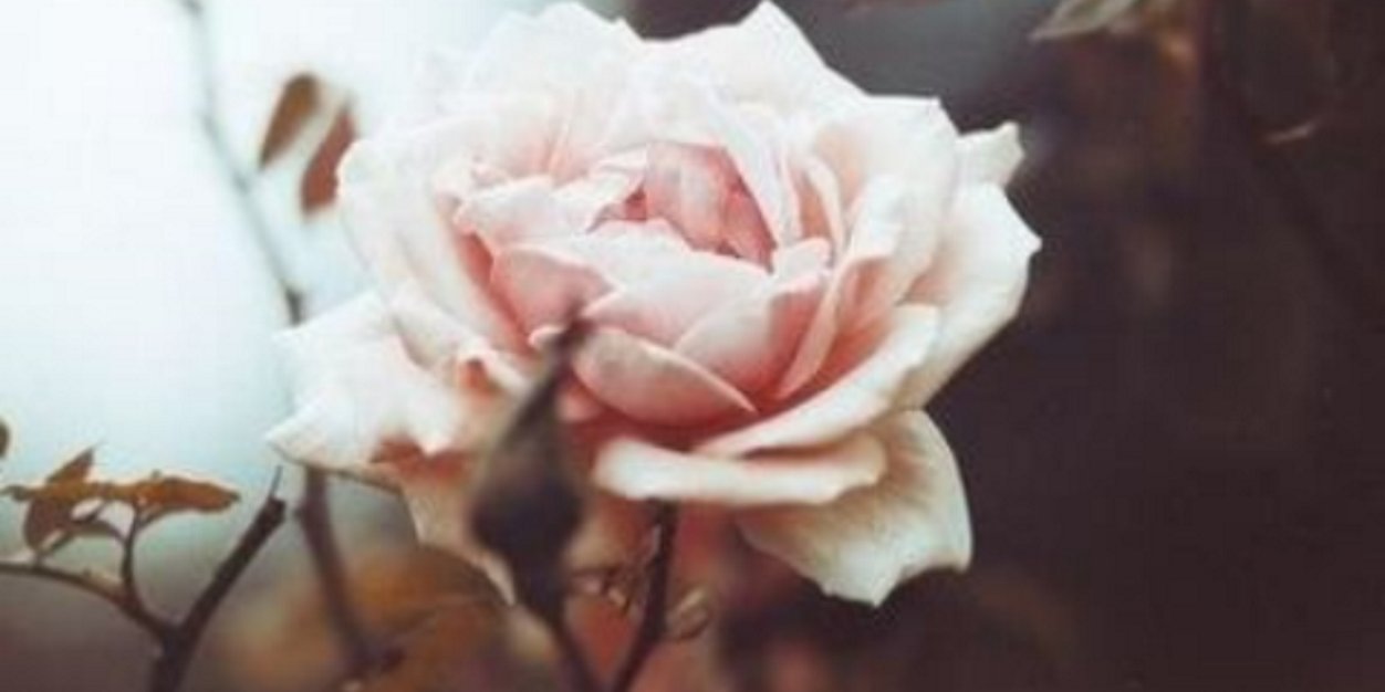 Mfundoh_M's profile banner image