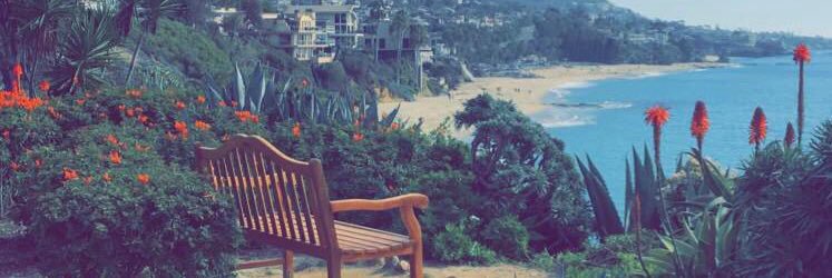 Waleedknm's profile banner image