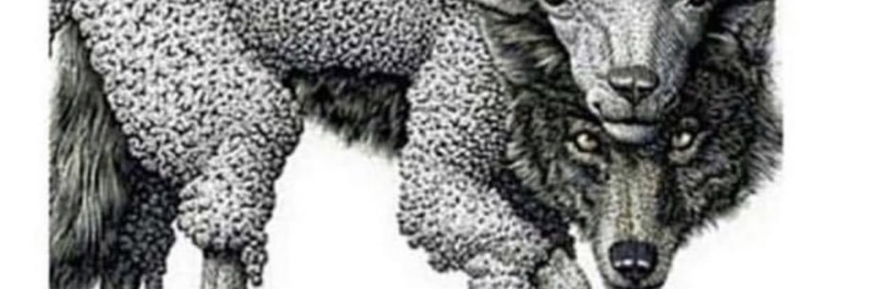 AlmightyDav's profile banner image