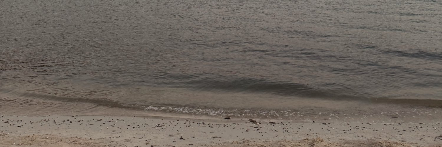 meltemsnckk's profile banner image