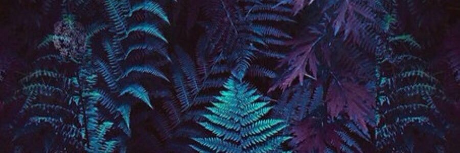 Olya_Lomako's profile banner image