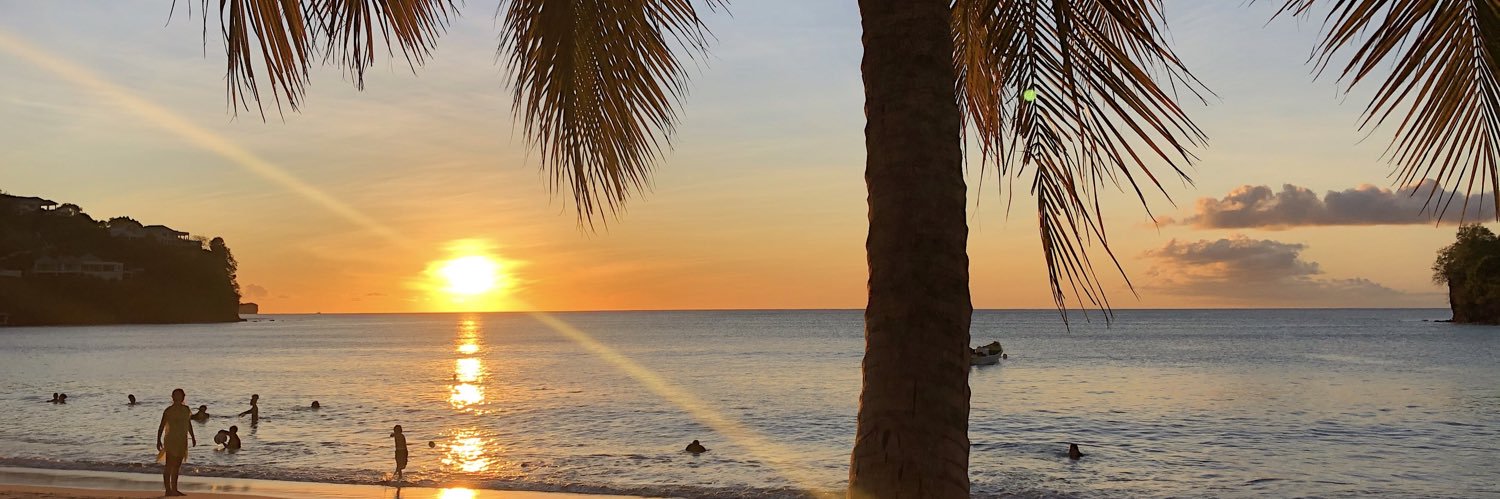 Michelle Sanders 🗺🌴 banner
