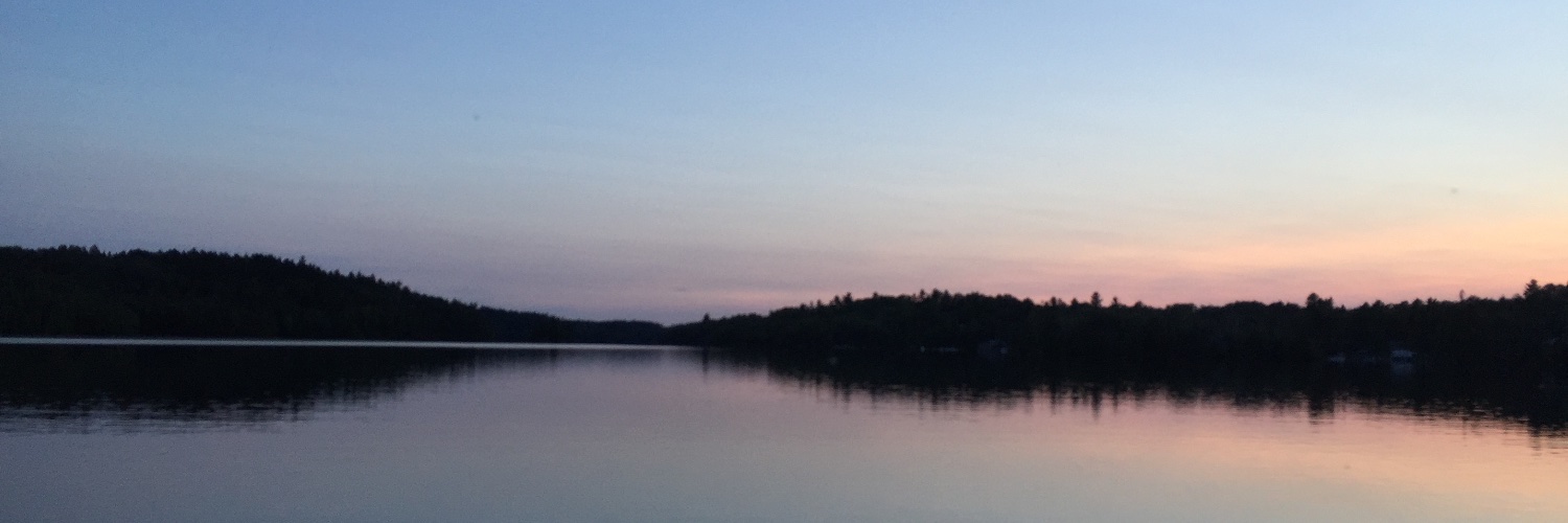 juliabellemore's profile banner image