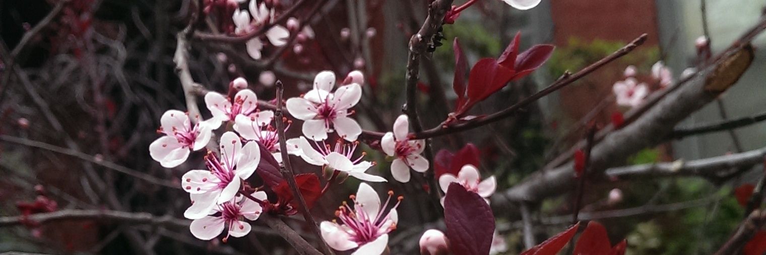DebRamcharran's profile banner image