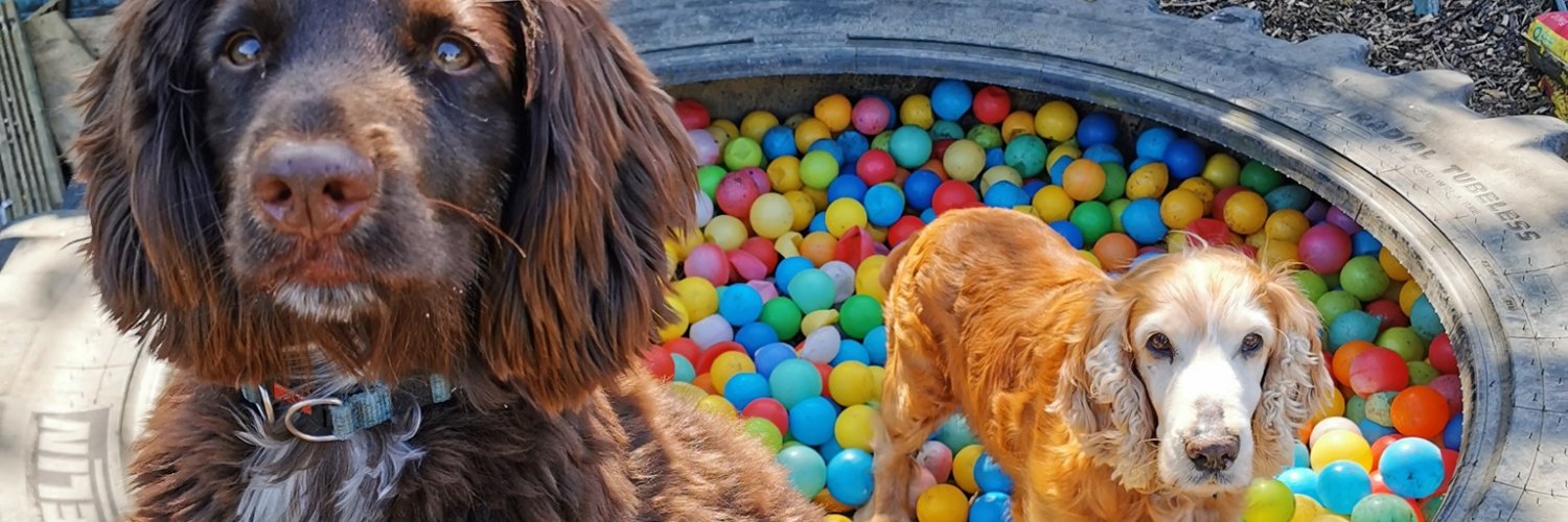 Teckels Animal Sanctuaries banner