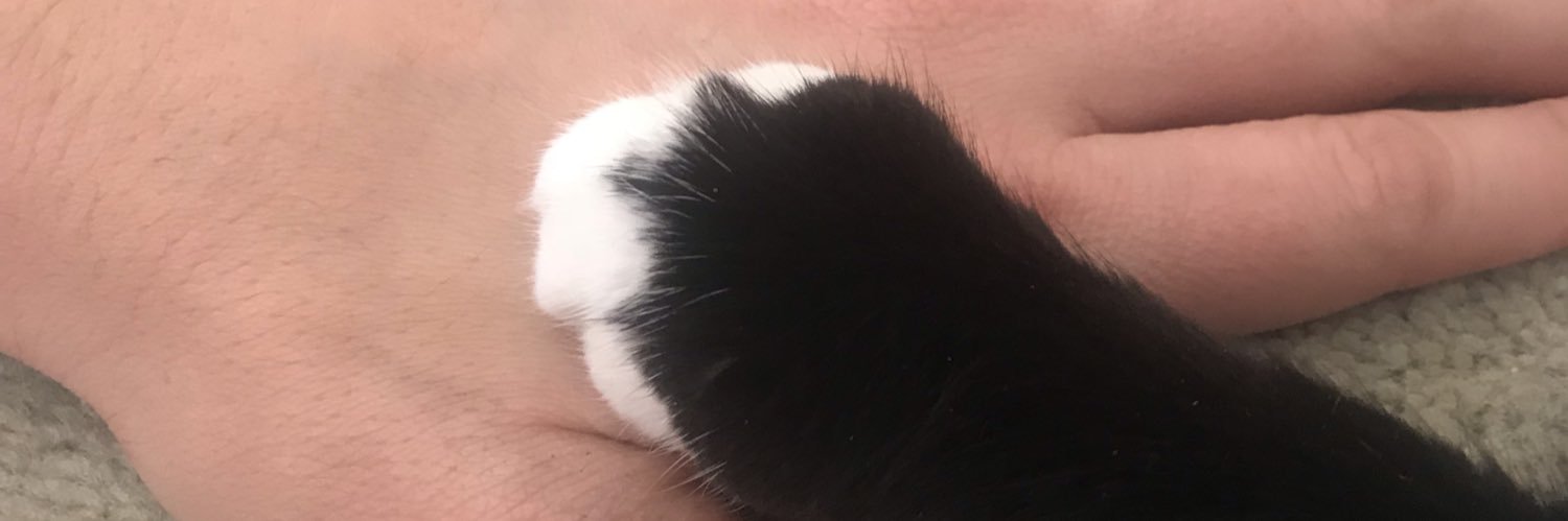 traceypiprogers's profile banner image