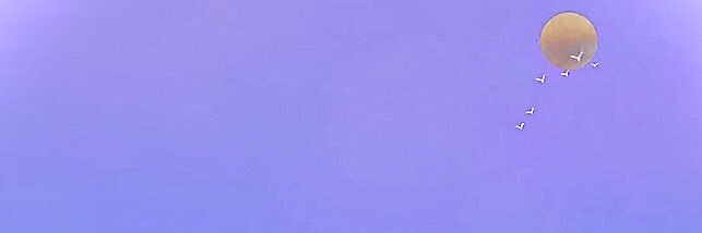faboikki's profile banner image