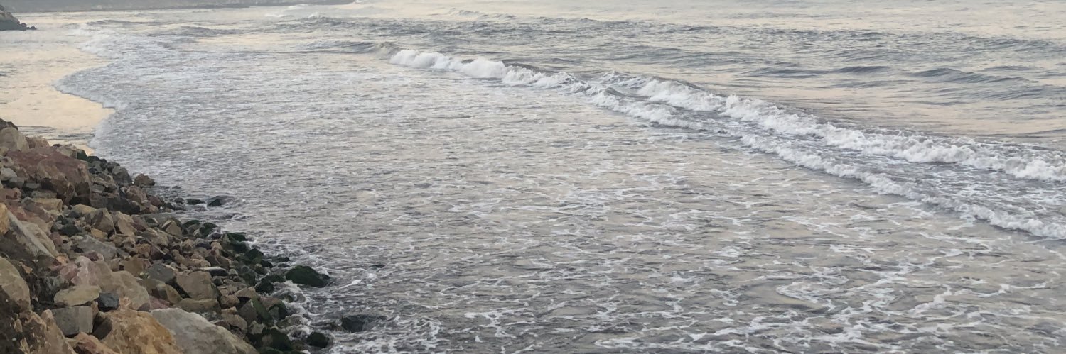 iremtugcelik's profile banner image