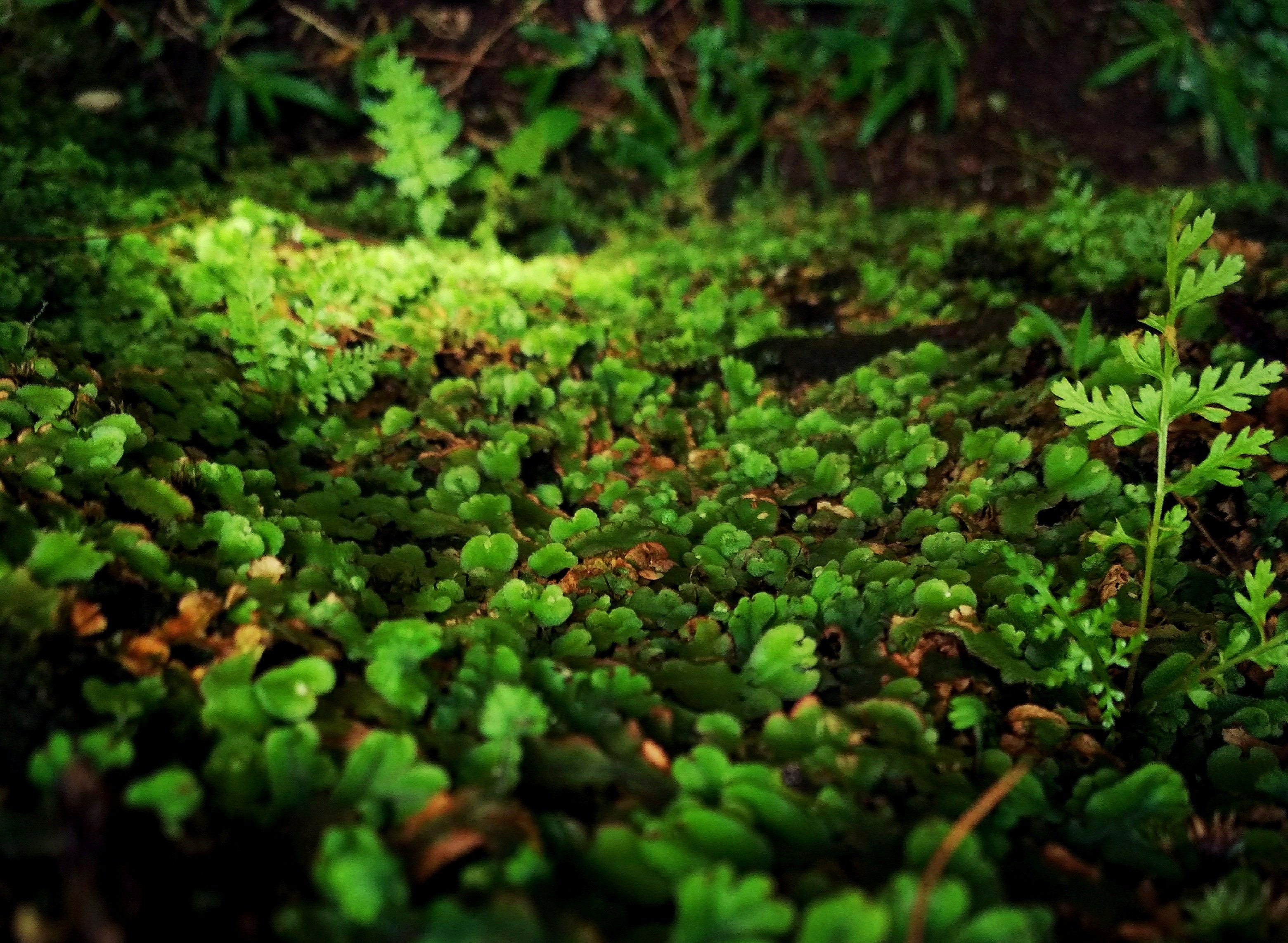 moography's profile banner image