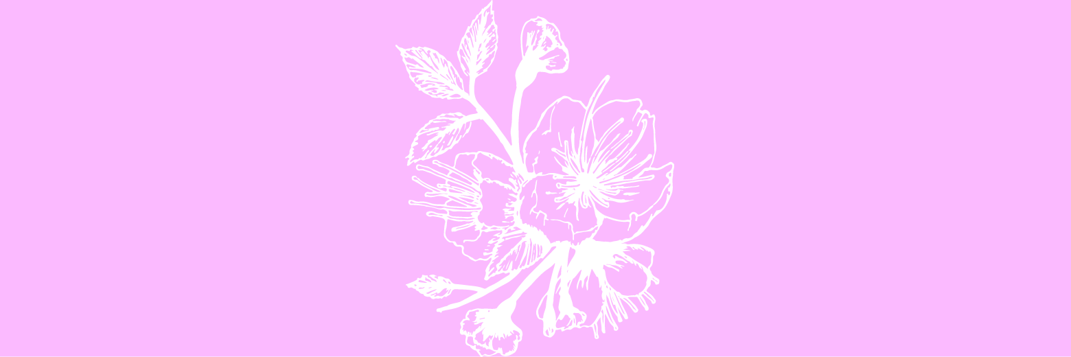 LOFS_Collective's profile banner image
