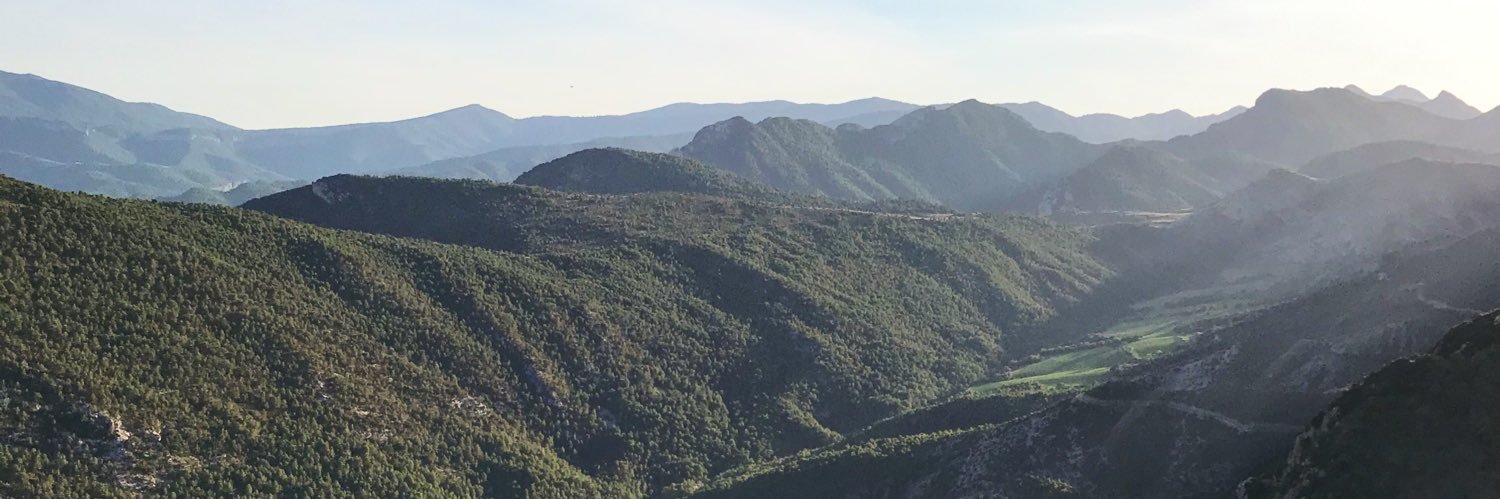 El fill de Venus banner