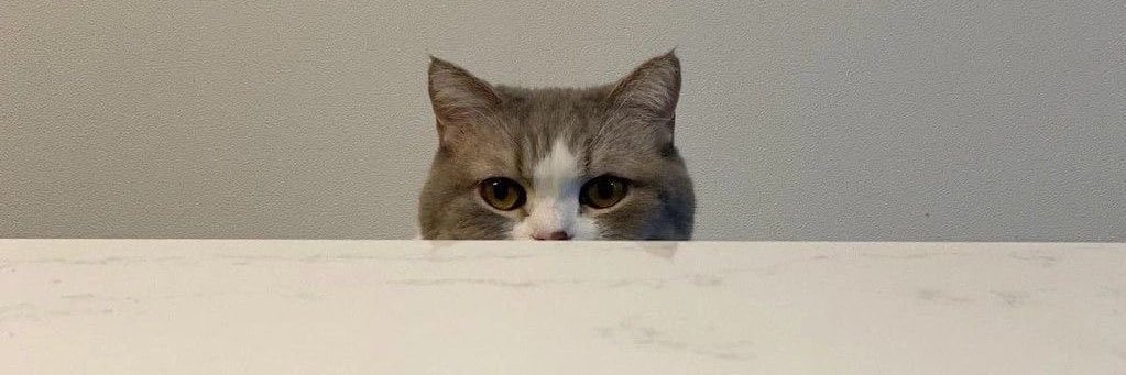 wwhoisme's profile banner image