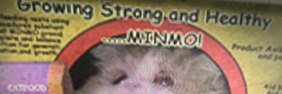 vioectrolysis's profile banner image