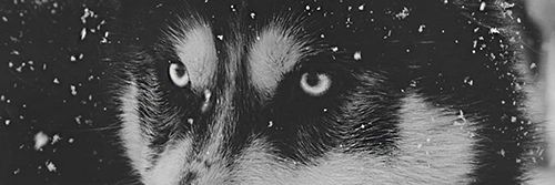 HopeM_RPGTw's profile banner image