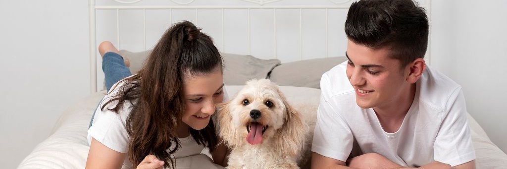 Debbiejc's profile banner image