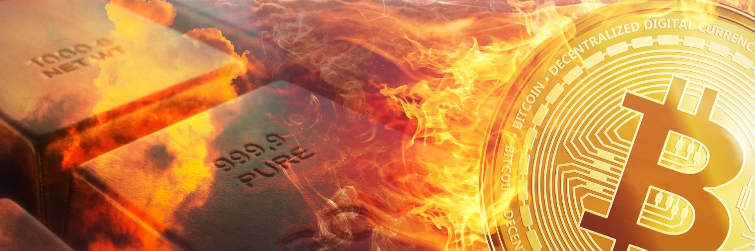 Elisa_crypto's profile banner image