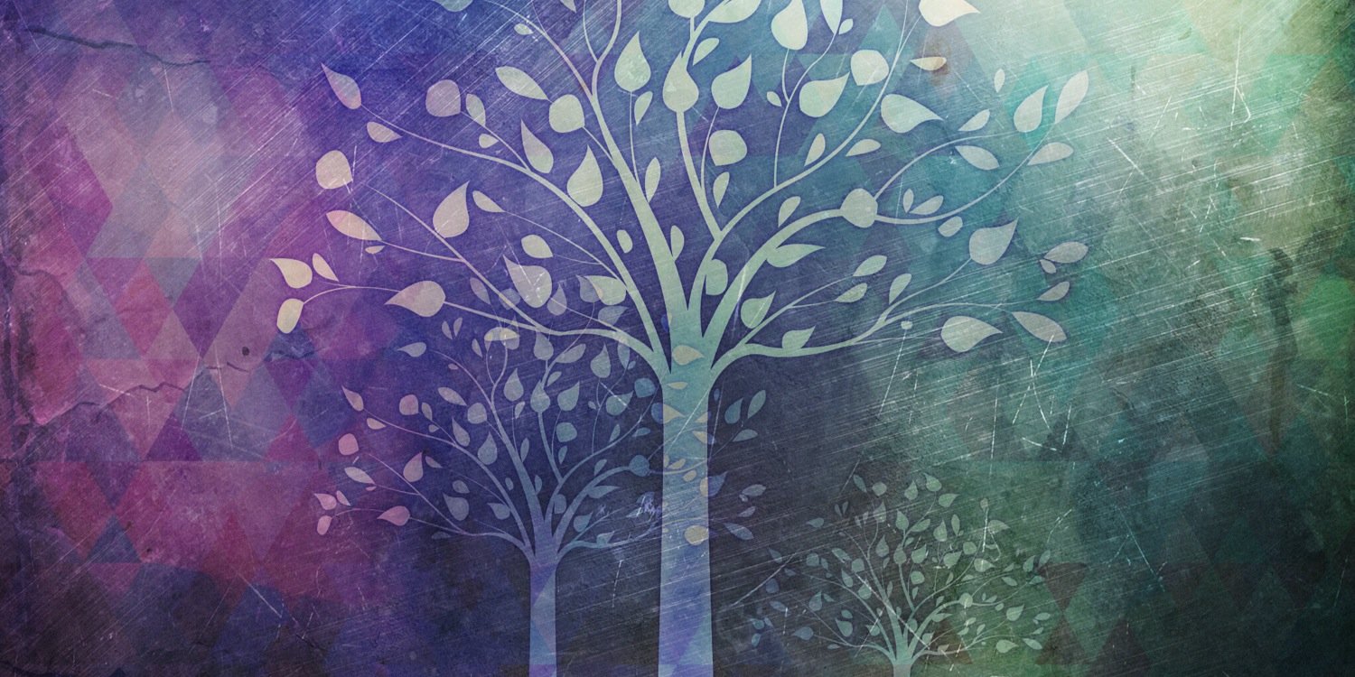 VALENTINA LOCCI banner