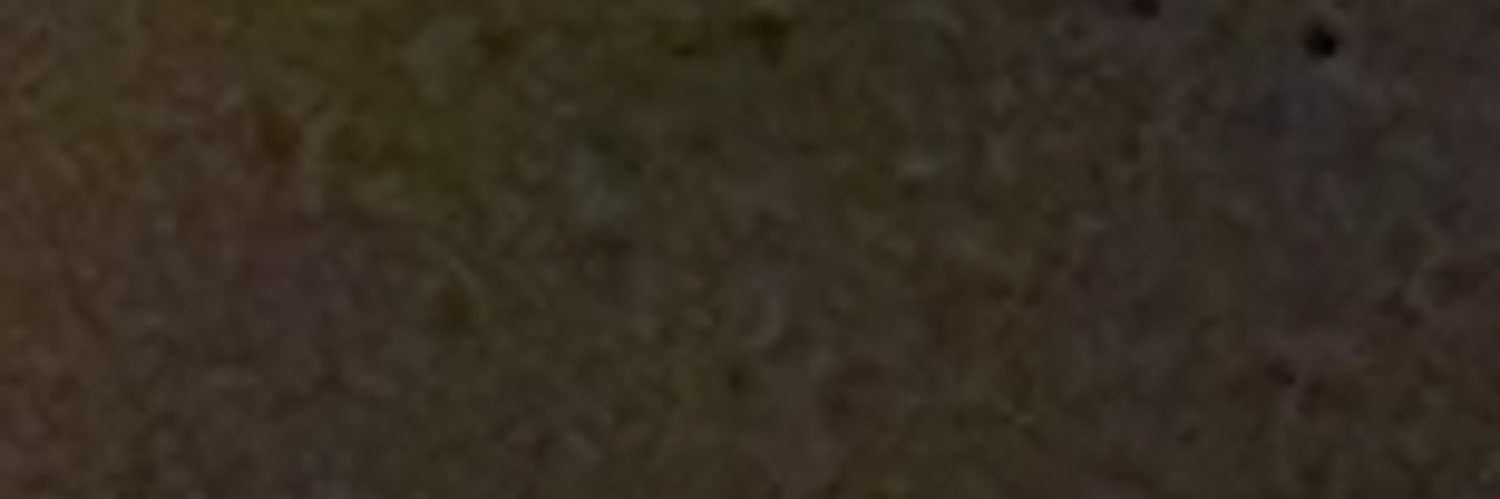 morgangleed's profile banner image