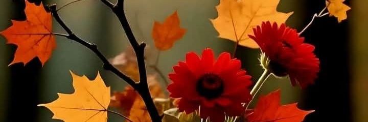 vision_southern's profile banner image