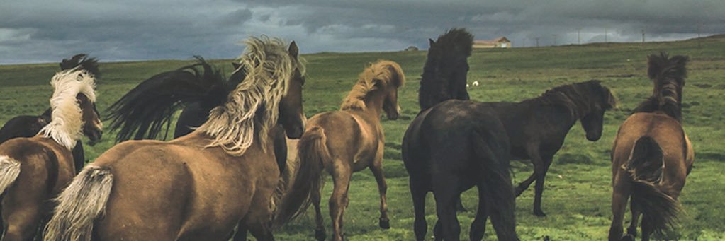 Write The Future banner