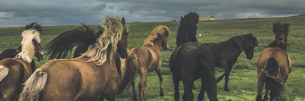 writethefuture_ Profile Banner