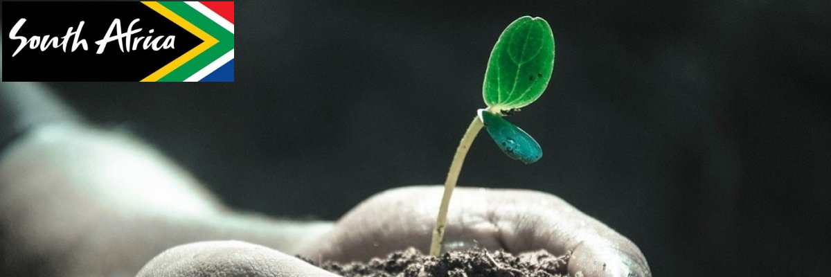 Thabang Rabotho🇿🇦 banner