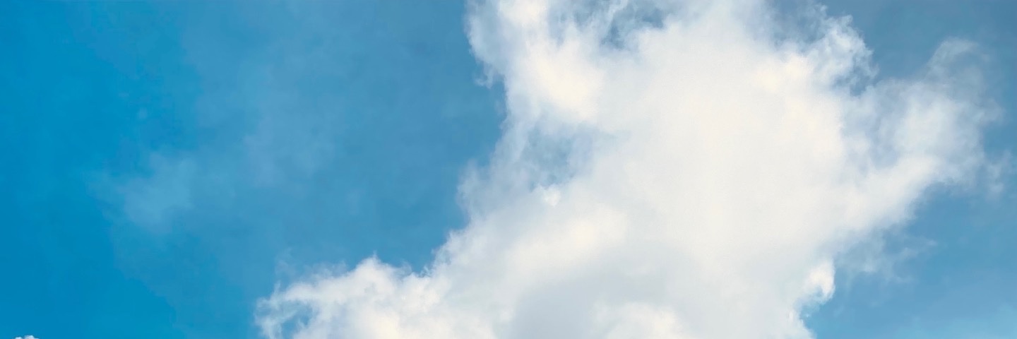 AliviaNovita's profile banner image