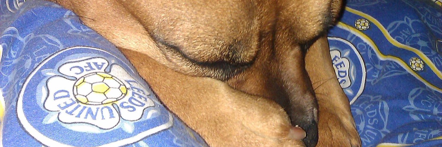 LukeJones21's profile banner image