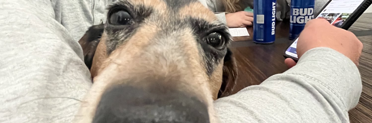 kenedei beard banner