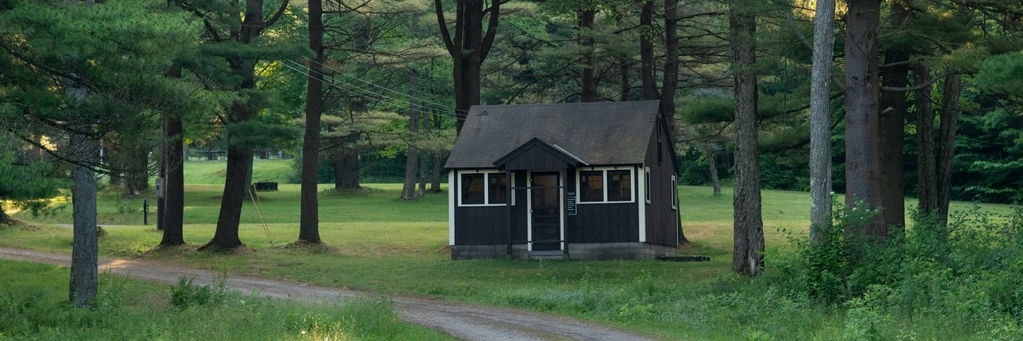 TinyGreenPlace's profile banner image