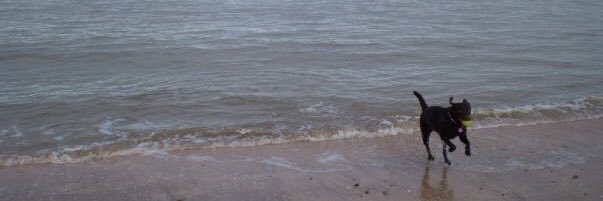 LucyJPearce's profile banner image