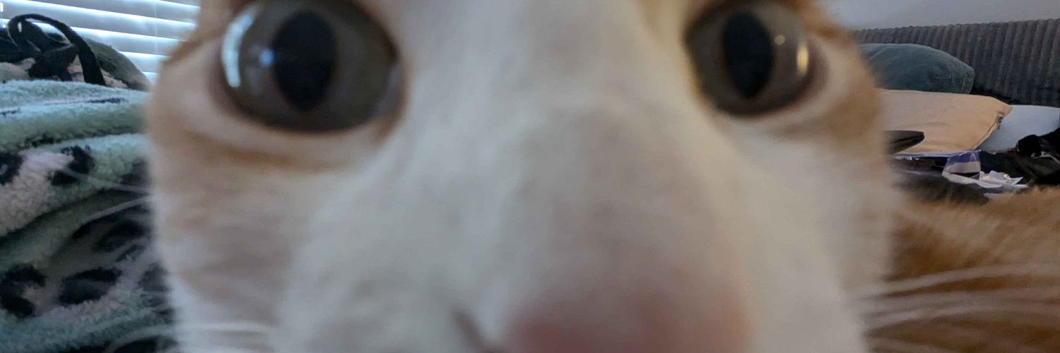 wAFFcs's profile banner image