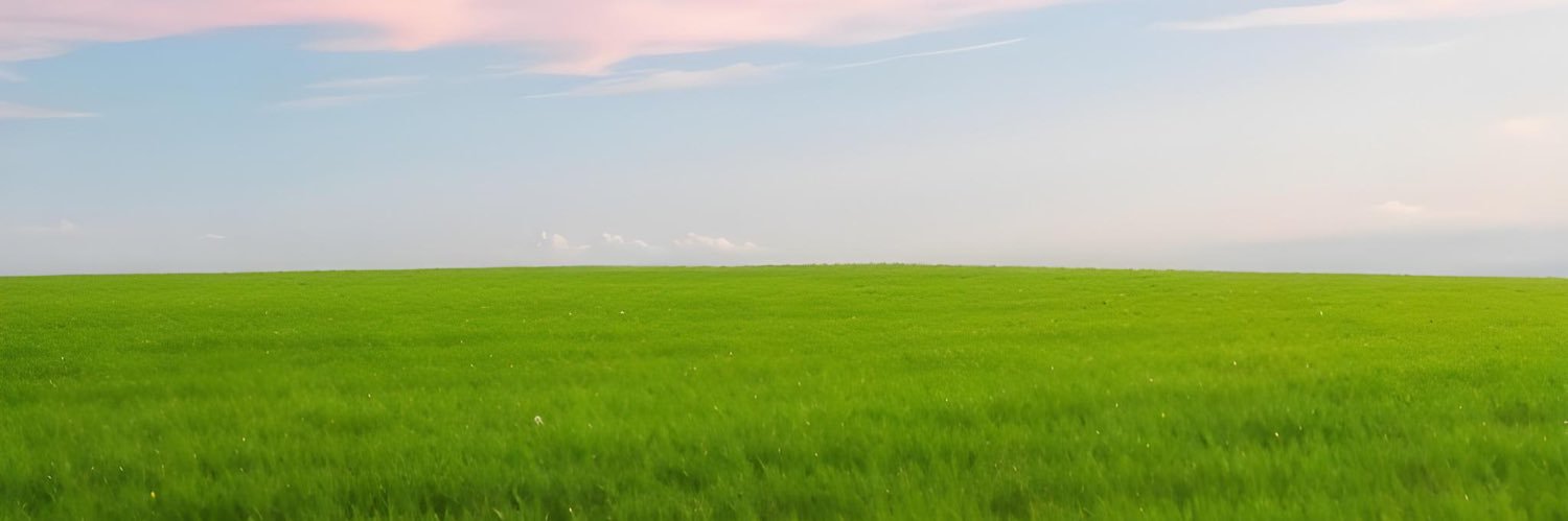 acarella_'s profile banner image