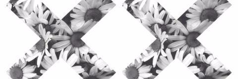 Sam  banner