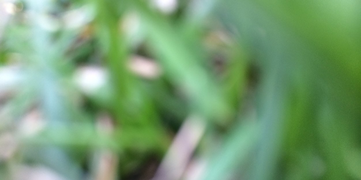 RilesMarie's profile banner image