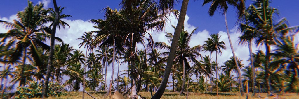 dudasobral_'s profile banner image