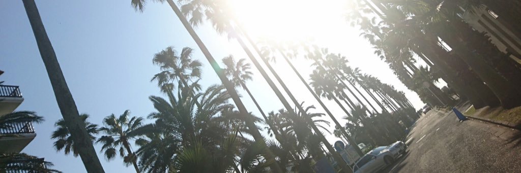 sk_junk's profile banner image