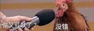 鲸鱼兔Peacey banner