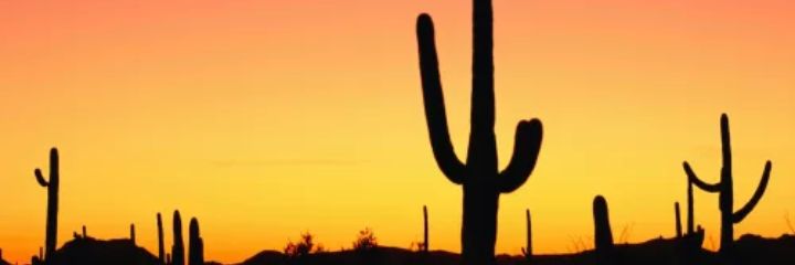 Marcelo_Hammer's profile banner image