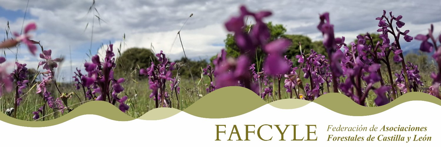 FAFCYLE's banner