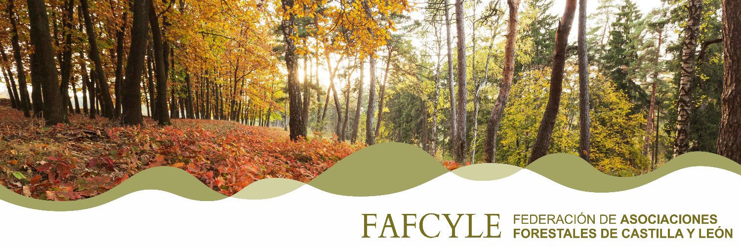 fafcyle's profile banner image